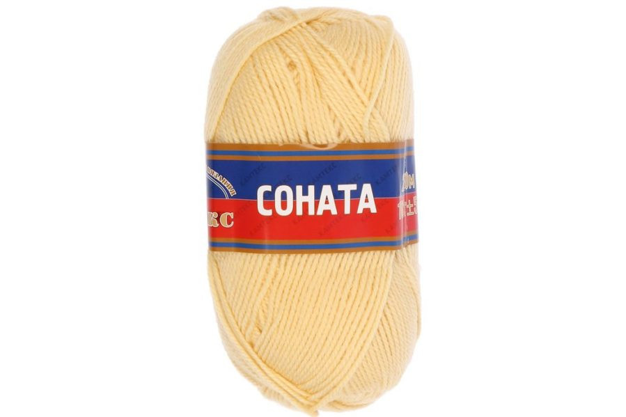 031 шамп.